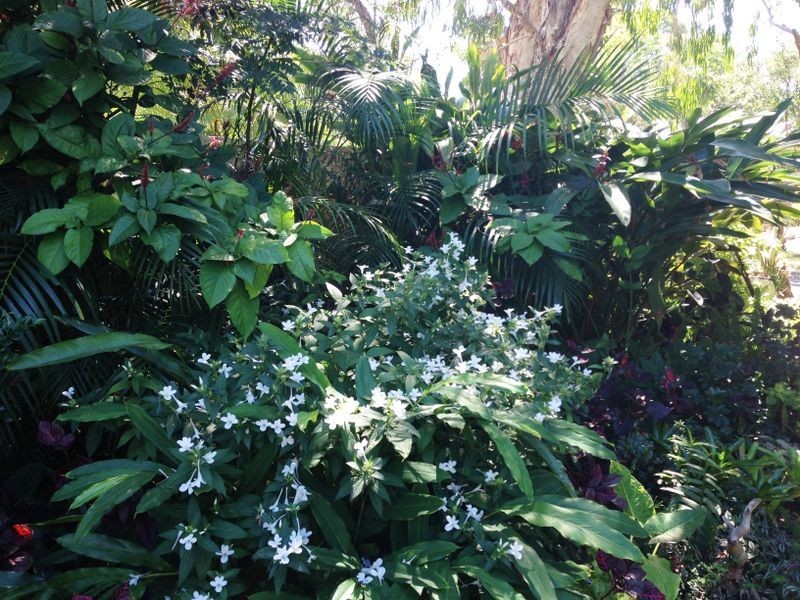 35 Shirley, Coochiemudlo Island QLD 4184