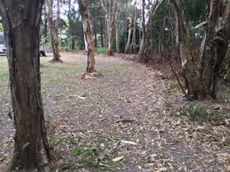 Coochiemudlo Island QLD 4184