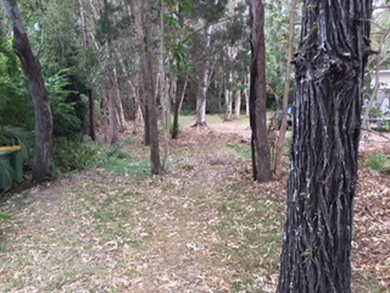 Coochiemudlo Island QLD 4184