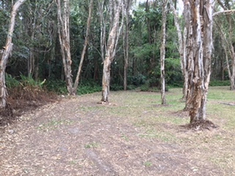 Coochiemudlo Island QLD 4184