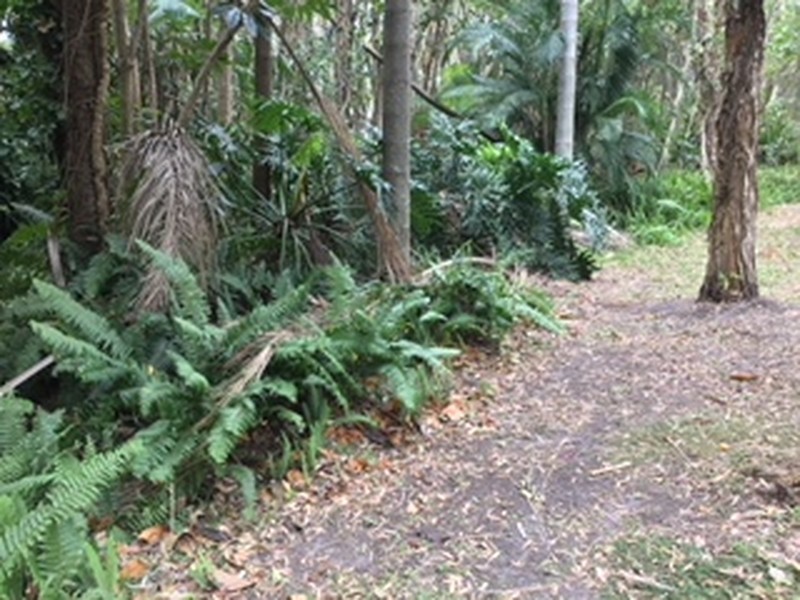 Coochiemudlo Island QLD 4184