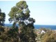 Lot 275 High Street, Thirroul NSW 2515