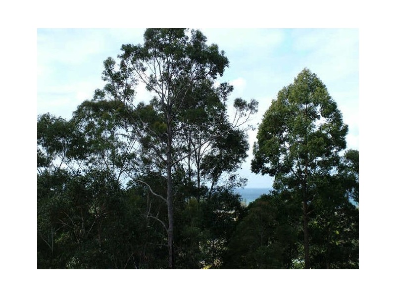 Lot 275 High Street, Thirroul NSW 2515