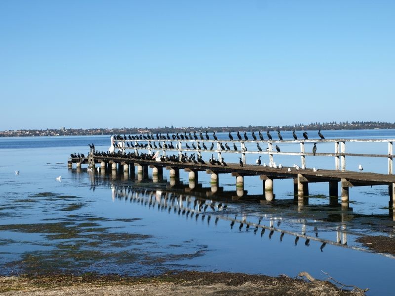 247 Lakedge Avenue, Berkeley Vale NSW 2261