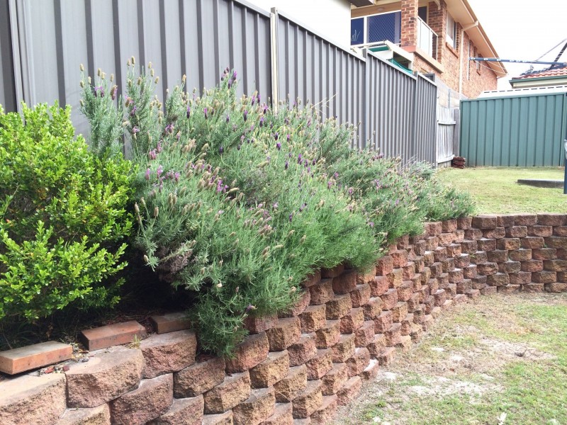 27B Warrigal Street, The Entrance NSW 2261