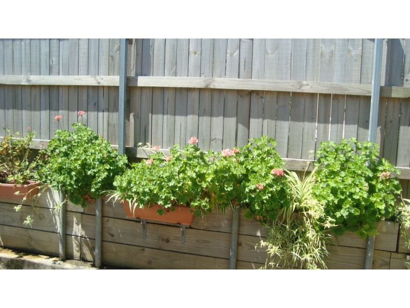 3/4A Archbold Road, Long Jetty NSW 2261