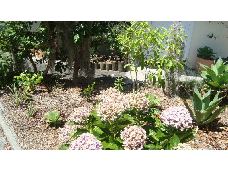 3/4A Archbold Road, Long Jetty NSW 2261