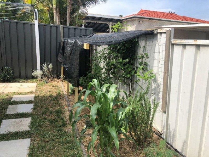 98 Toowoon Bay Road, Toowoon Bay NSW 2261