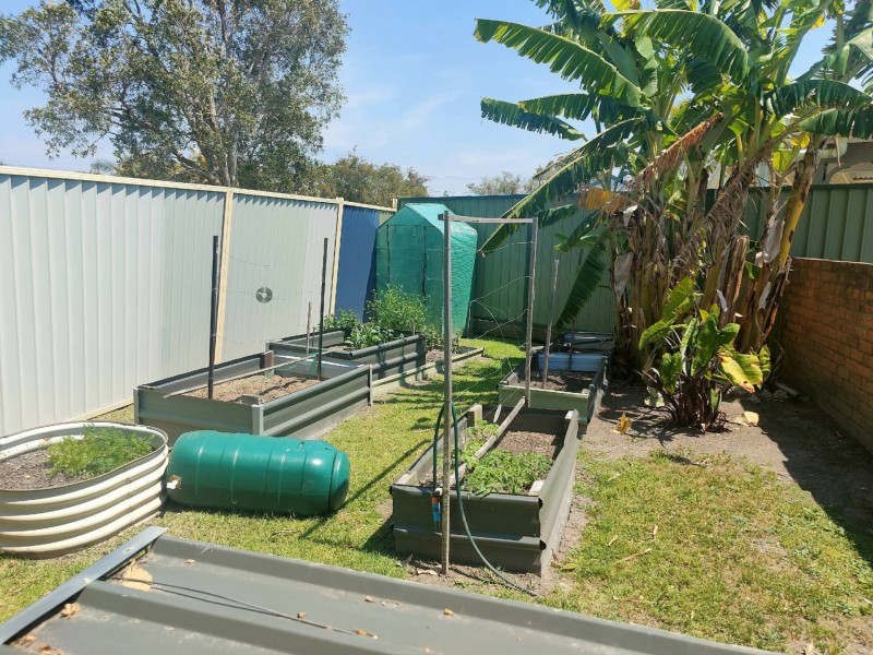 62 Kathleen White Crescent, Killarney Vale NSW 2261