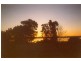 Long Jetty NSW 2261