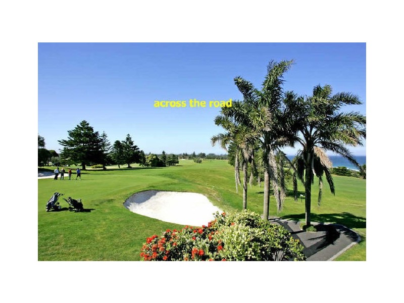 Shelly Beach NSW 2261