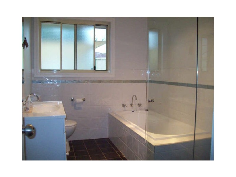 Shelly Beach NSW 2261