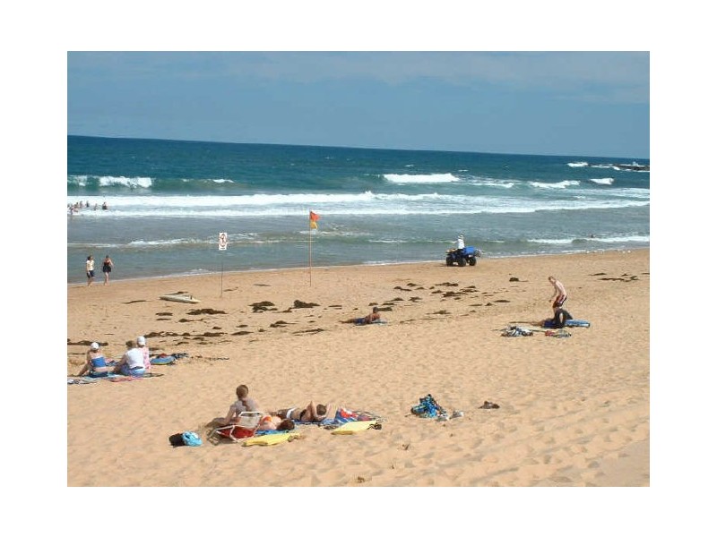 Shelly Beach NSW 2261