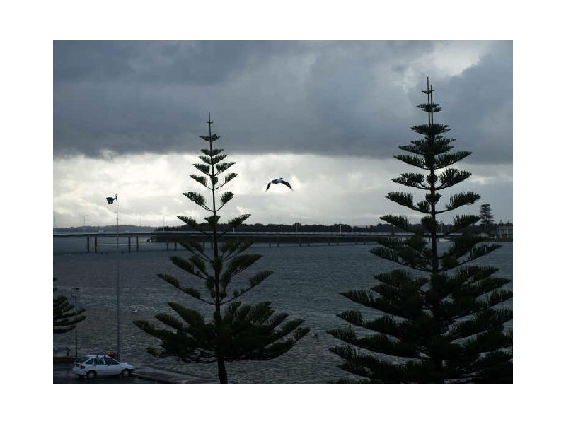 The Entrance NSW 2261