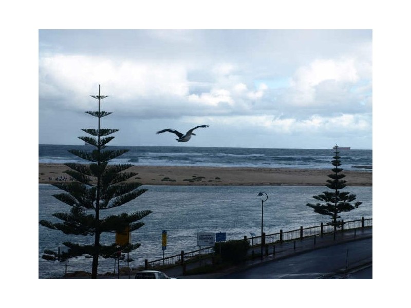 The Entrance NSW 2261