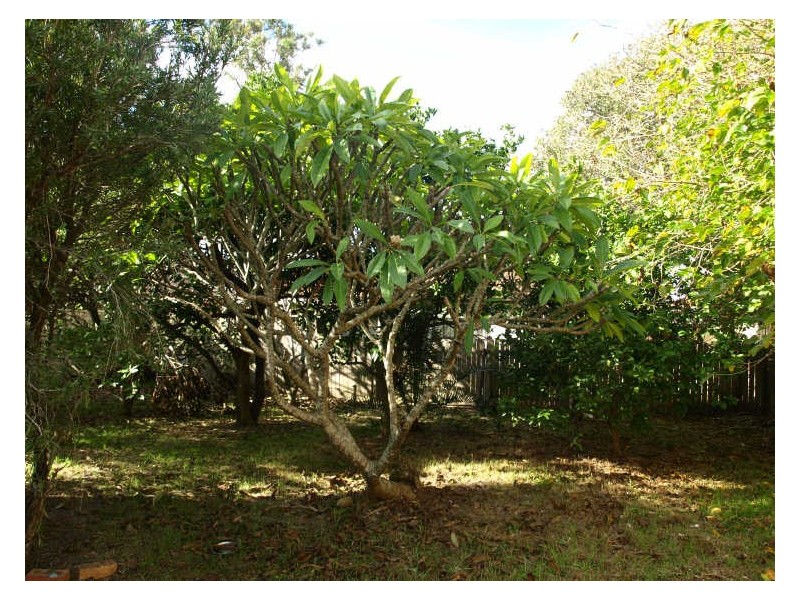 22 Warrigal Street, The Entrance NSW 2261