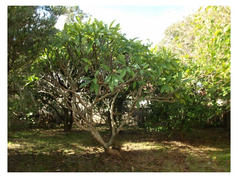 22 Warrigal Street, The Entrance NSW 2261