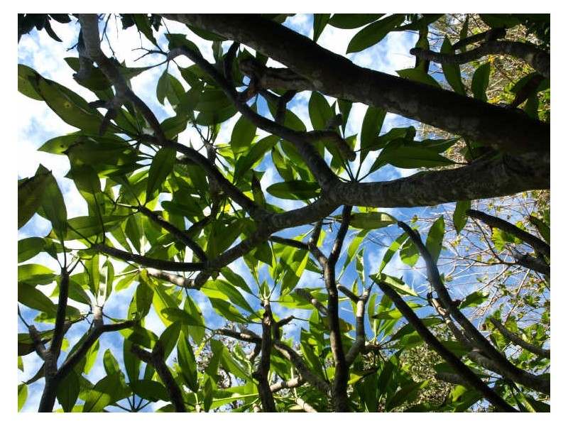 22 Warrigal Street, The Entrance NSW 2261