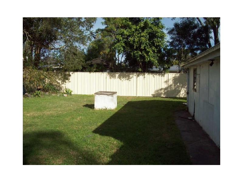 Shelly Beach NSW 2261