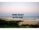 Shelly Beach NSW 2261