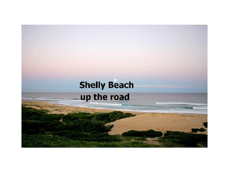 Shelly Beach NSW 2261