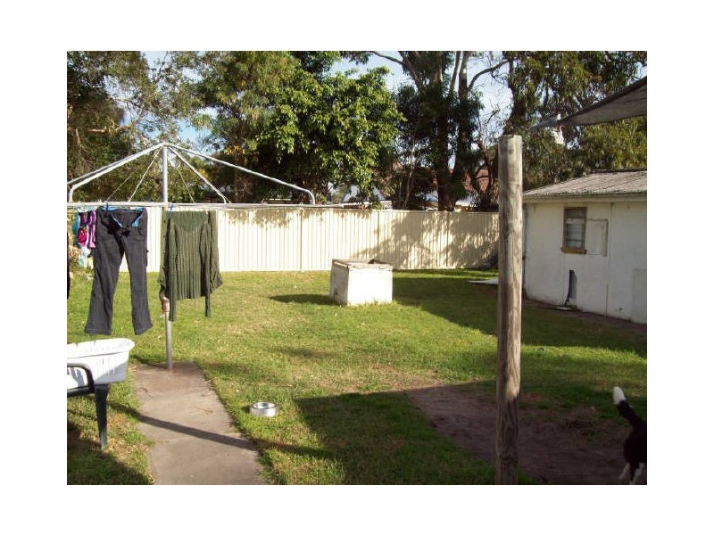 Shelly Beach NSW 2261