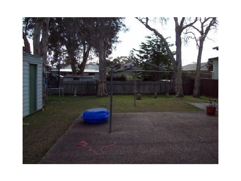 Shelly Beach NSW 2261