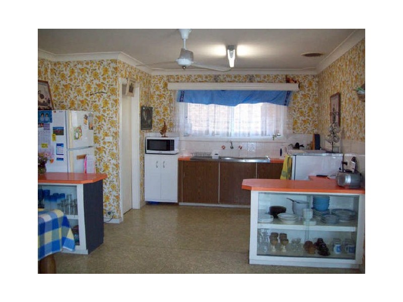 Shelly Beach NSW 2261