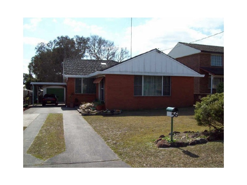 Shelly Beach NSW 2261