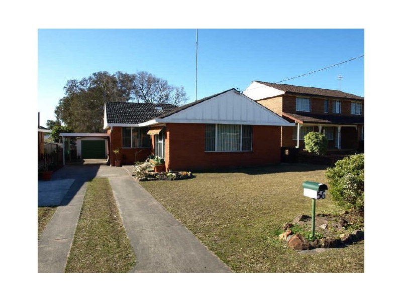 Shelly Beach NSW 2261