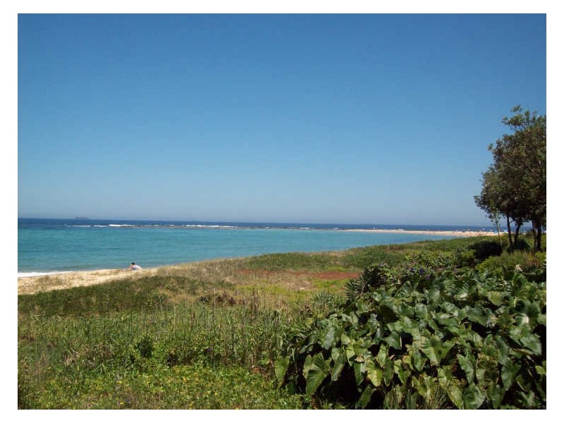 161 Bay Road, Toowoon Bay NSW 2261