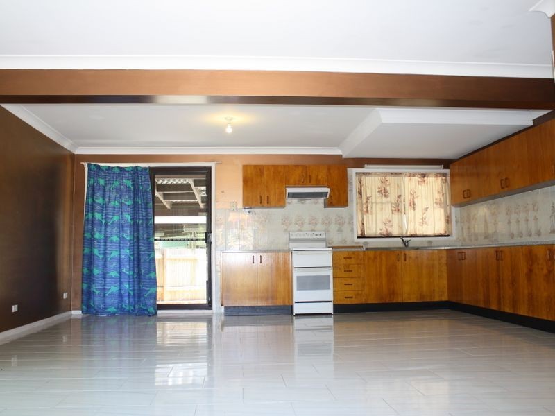 Shelly Beach NSW 2261