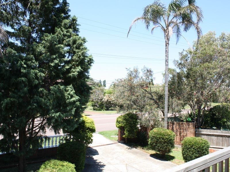 Shelly Beach NSW 2261