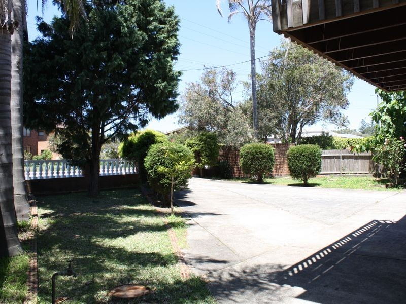 Shelly Beach NSW 2261