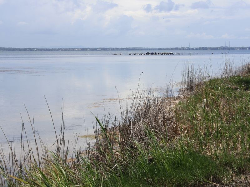 9a Terilbah Place, The Entrance North NSW 2261