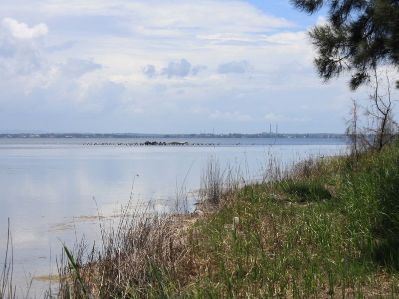 9a Terilbah Place, The Entrance North NSW 2261