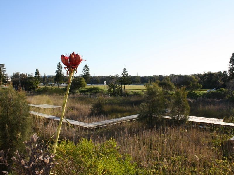 50/44-66 Hutton Road, The Entrance North NSW 2261