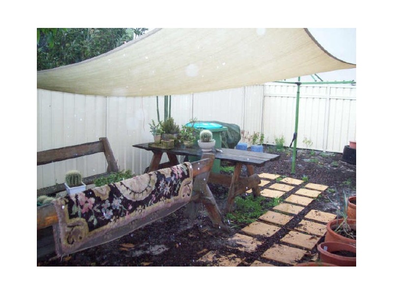 Shelly Beach NSW 2261