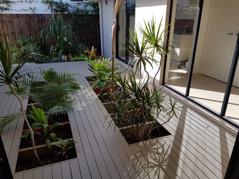 15 Riberry Place, Meridan Plains QLD 4551