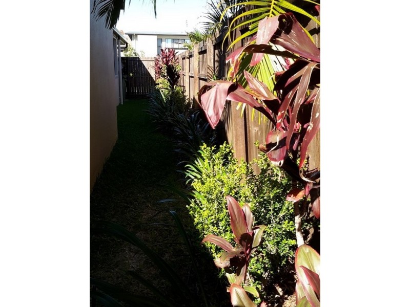 15 Riberry Place, Meridan Plains QLD 4551