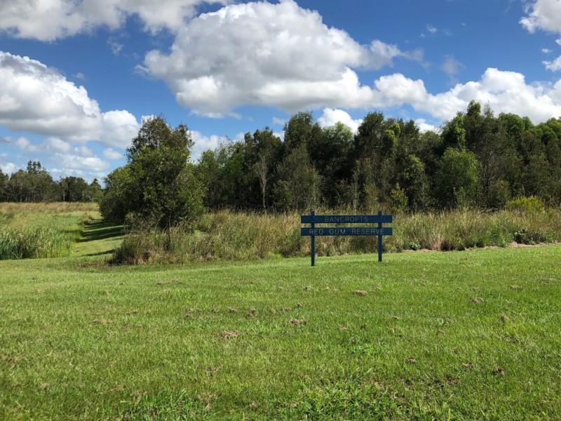 5 Cooloola Court, Little Mountain QLD 4551