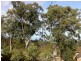 4 Caroline Crescent, Buderim QLD 4556