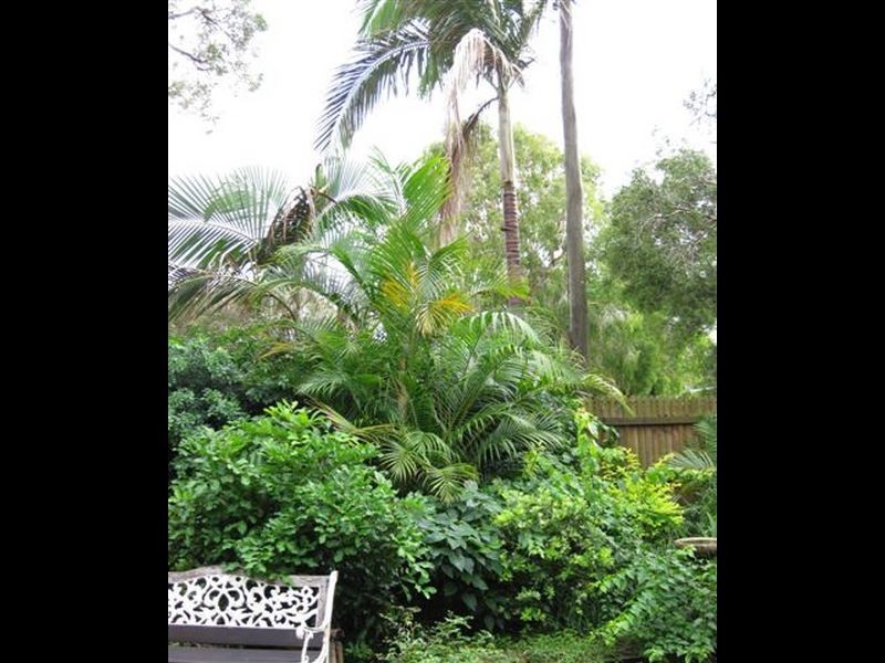 8 Bull Street, Currimundi QLD 4551