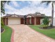 6 Eagle Court, Wurtulla QLD 4575