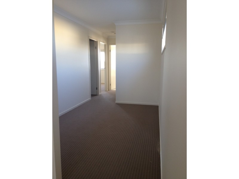 31 Newry Court, Mountain Creek QLD 4557