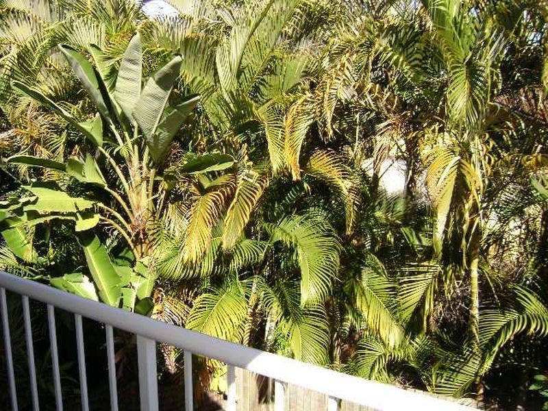 38/ Highgate Place, Maroochydore QLD 4558