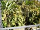 38/ Highgate Place, Maroochydore QLD 4558