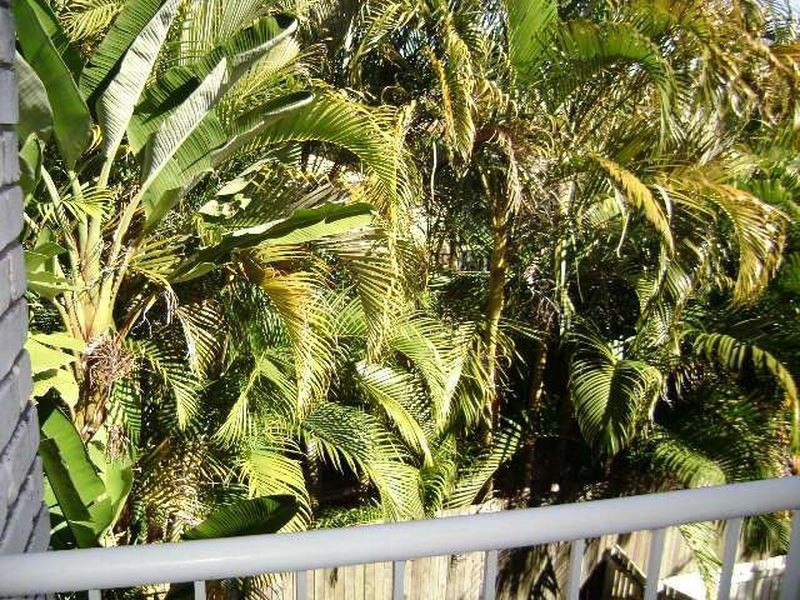 38/ Highgate Place, Maroochydore QLD 4558