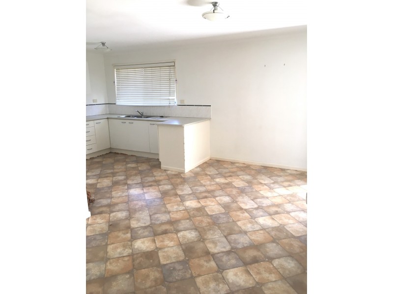 4 Ewinga Court, Mountain Creek QLD 4557