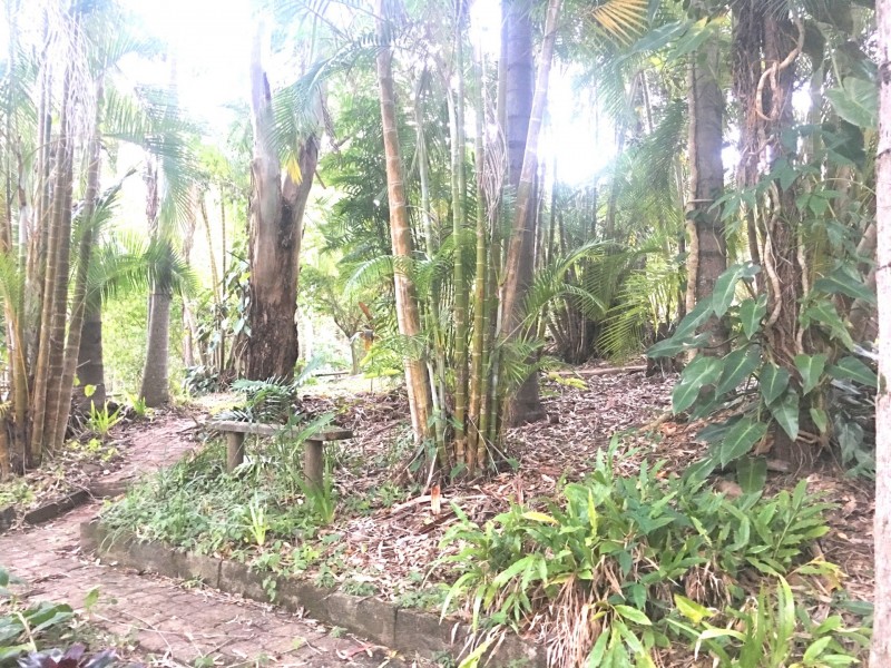 9 Clatworthy Court, Buderim QLD 4556